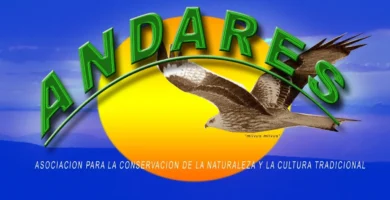 Agenda de actividades de la Asociación Andares 2023-2024