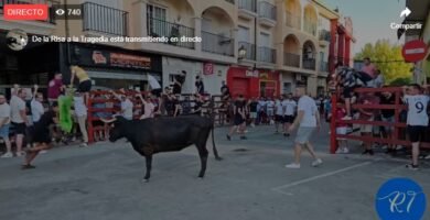 Festejos taurinos en honor a San Bartolomé en Montehermoso 2024