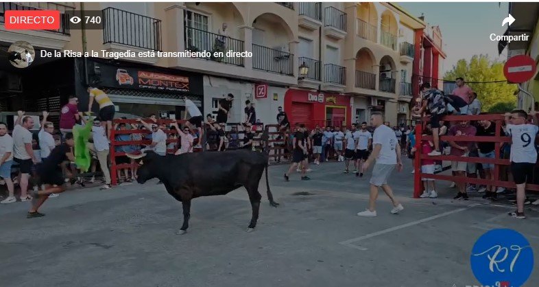 Festejos taurinos en honor a San Bartolomé en Montehermoso 2024