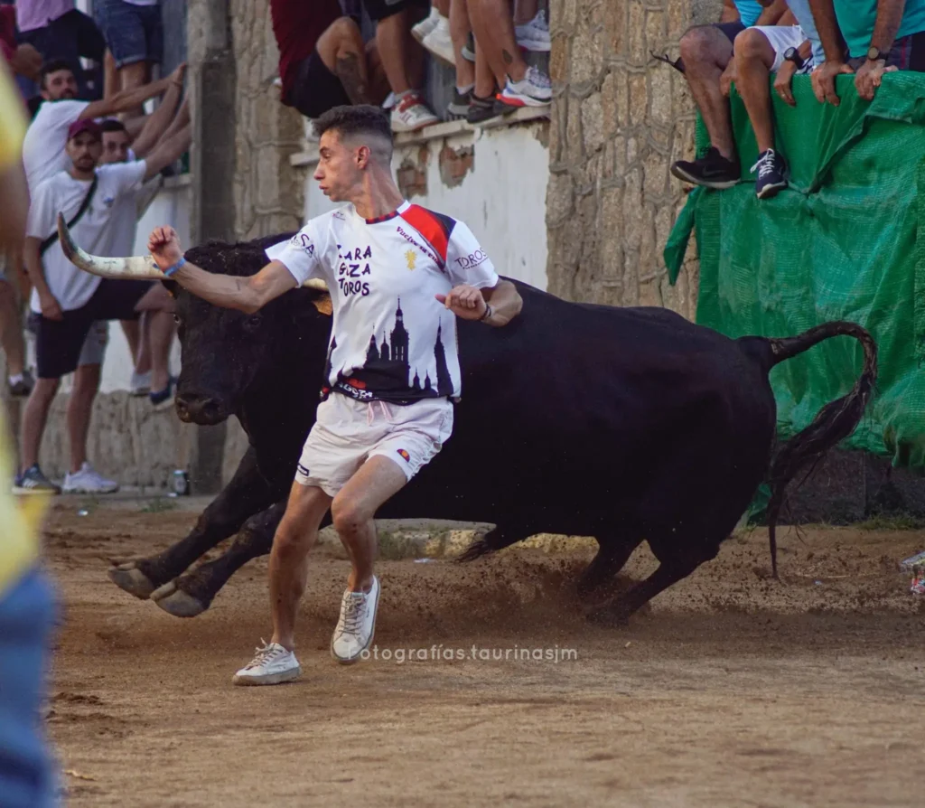 Imágenes de los Festejos taurinos de Montehermoso en Redes