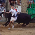 Imágenes de los Festejos taurinos de Montehermoso en Redes