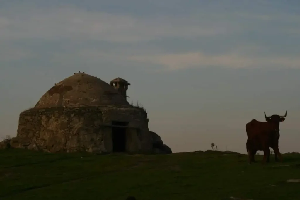 José Luis Martín Galindo: Un Pionero en la Preservación de la Arquitectura Vernácula de Extremadura