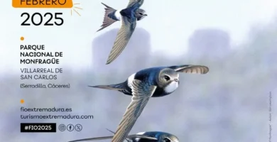 FIO 2025 El 20º Aniversario de la Feria Internacional de Turismo Ornitológico en Monfragüe