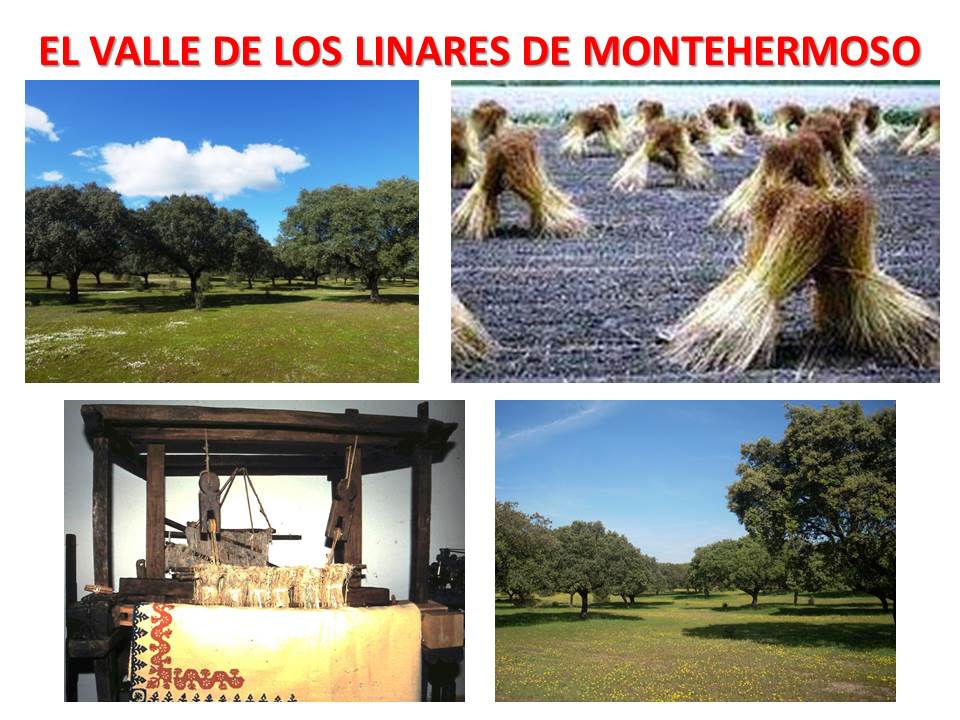 El Valle de los Linares de Montehermoso: Un legado textil en la memoria