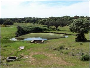 Montehermoso redescubre sus fuentes tradicionales: legado del agua y memoria local