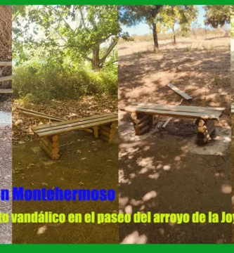 Indignación en Montehermoso tras un brutal acto vandálico en el paseo del arroyo de la Joya