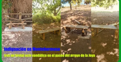 Indignación en Montehermoso tras un brutal acto vandálico en el paseo del arroyo de la Joya