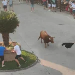 Fiestas de San Bartolomé 2025 en Montehermoso: programa, tradiciones y cómo hacer que tus fotos entren en la historia