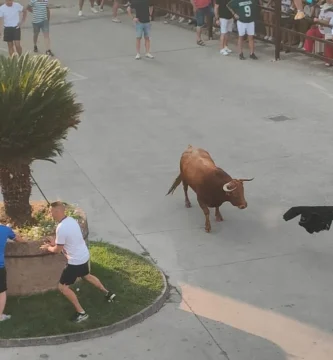 Fiestas de San Bartolomé 2025 en Montehermoso: programa, tradiciones y cómo hacer que tus fotos entren en la historia