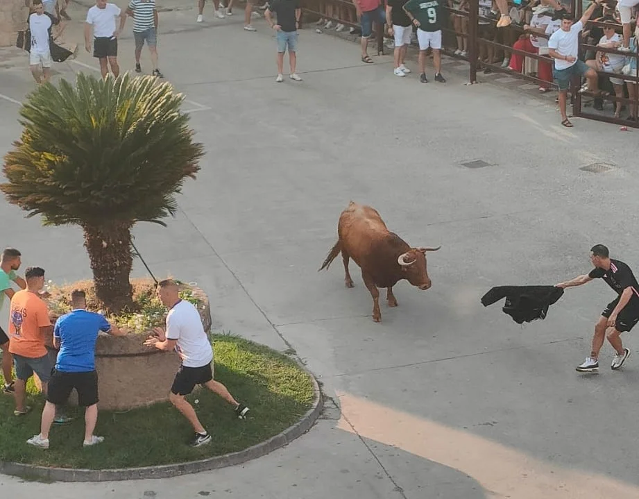 Fiestas de San Bartolomé 2025 en Montehermoso: programa, tradiciones y cómo hacer que tus fotos entren en la historia