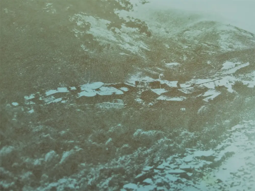 TIMO Y MODERNEZ EN NAVIDAD